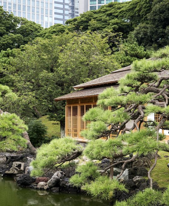 Hamarikyu Gardens in Tokyo, Japan